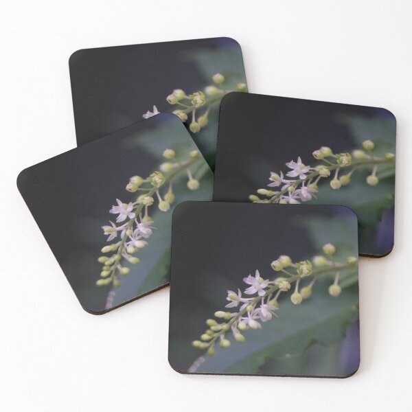 Item preview, Rivina humilis designed and sold by ROSE ANN BANILAR.