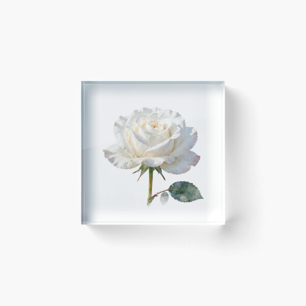 Item preview, The White Flower  designed and sold by KhalidHosnyArT.