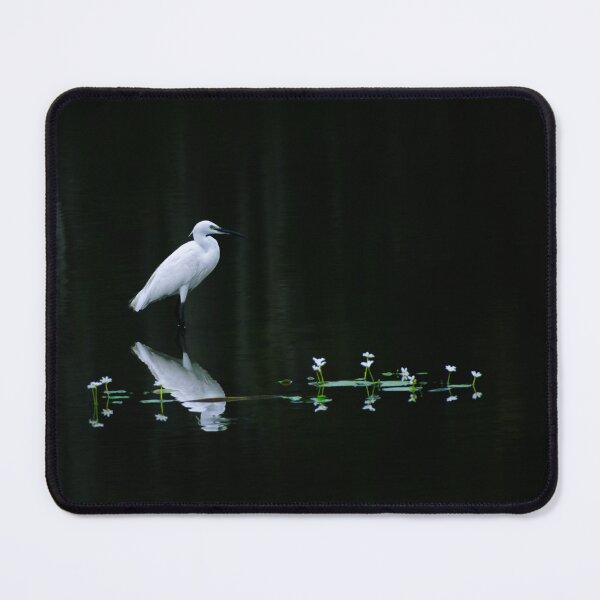 Item preview, Silent Reflection – Minimalist White Bird on Dark Water designed and sold by LensAndJi.