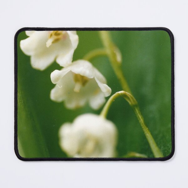 Item preview, Lily of the valley (Convallaria majalis) - Classic film photography designed and sold by Lily Rose Doodle.