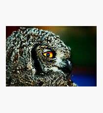 Watchful Photographic Print
