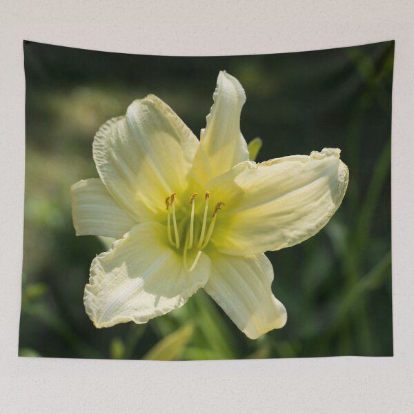 Item preview, Sunlit Lemony Yellow Daylily Bloom designed and sold by Georgia Mizuleva.