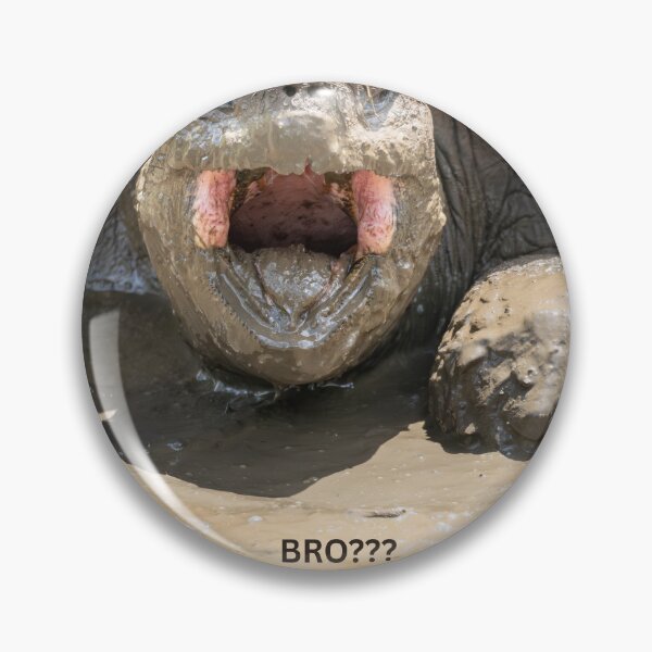 Artikelvorschau, Bro Tortoise Meme Lustiger schockierter Schildkrötenaufkleber Reaktions-Meme Reptilienhumor Geschenk entworfen und verkauft von WildFrameNature.