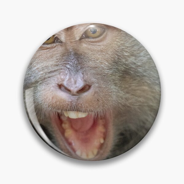Item preview, Bro Monkey Meme Funny Shocked Macaque Sticker Reaction Meme Animal Humor Gift designed and sold by WildFrameNature.