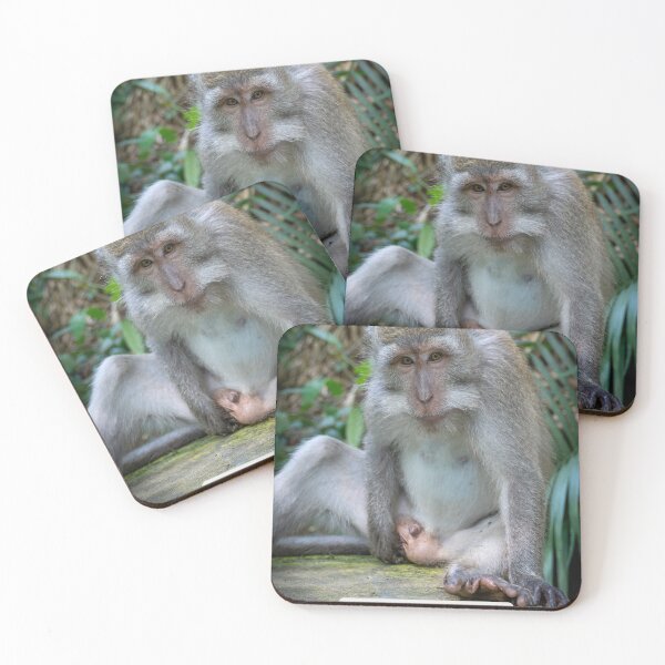 Item preview, Mind Your Business Monkey Meme Funny Sarcastic Sticker Unbothered Animal Humor Gift designed and sold by WildFrameNature.