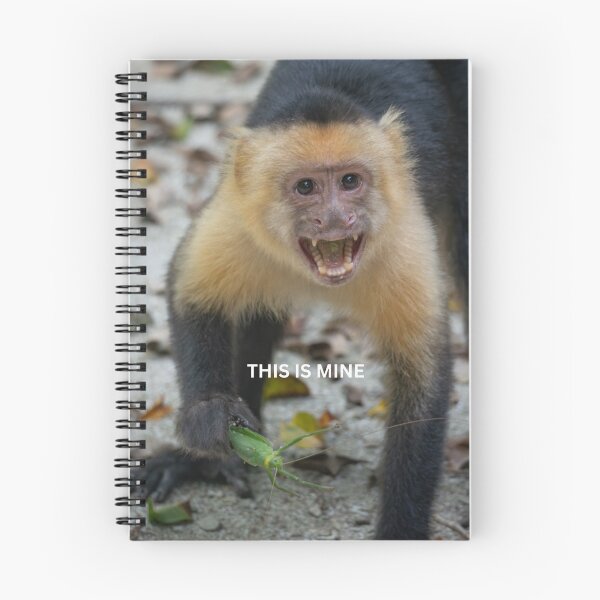 Item preview, This Is Mine Monkey Meme Funny Possessive Animal Sticker Food Humor Capuchin Gift designed and sold by WildFrameNature.