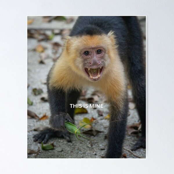 Item preview, This Is Mine Monkey Meme Funny Possessive Animal Sticker Food Humor Capuchin Gift designed and sold by WildFrameNature.