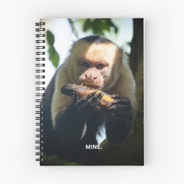 Item preview, Mine Monkey Meme Funny Possessive Food Sticker Capuchin Eating Humor Relatable Gift designed and sold by WildFrameNature.
