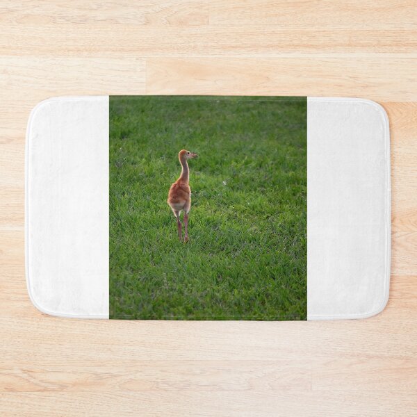 Item preview, Young Chick Strutting on Grass designed and sold by MercerImages.