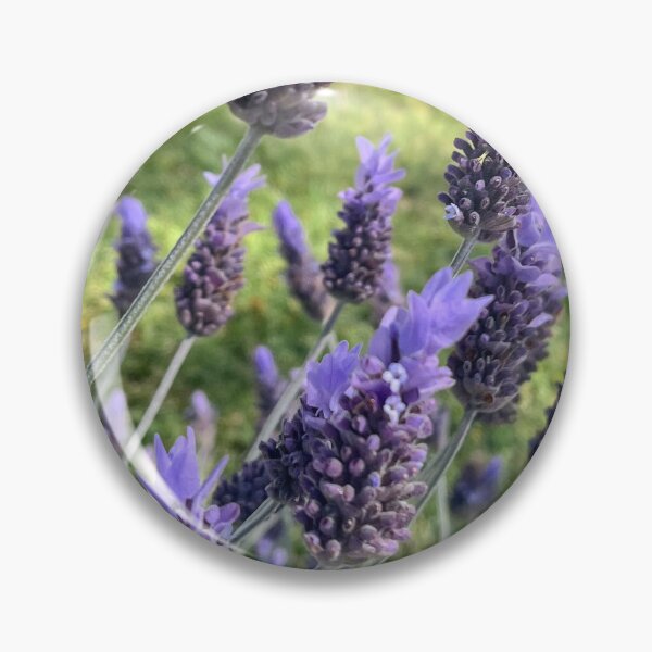 Item preview, Suaves flores de lavanda con un fondo de jardín de ensueño designed and sold by Be Captured by Brittany Emma.