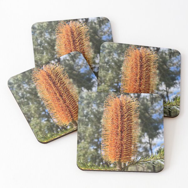 Item preview, Vibrant Orange Banksia Native Australian Flower designed and sold by Be Captured by Brittany Emma.