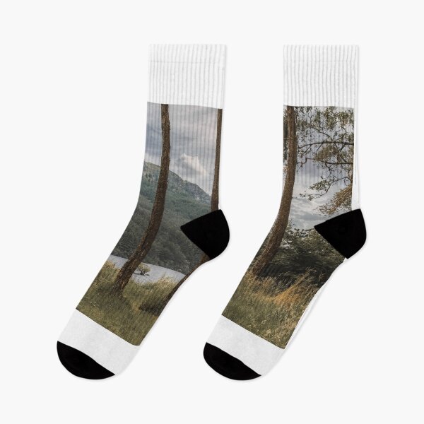 Item preview, Loch Eck Argyll Through the Trees designed and sold by RJW Images.