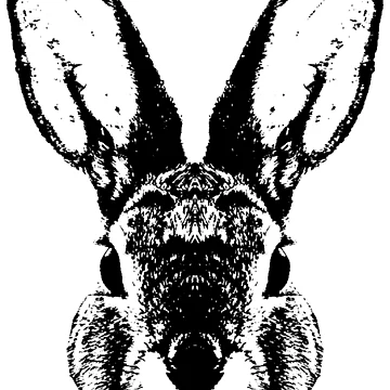 Artwork thumbnail, Hare / Rabbit / Head by RalfkLang