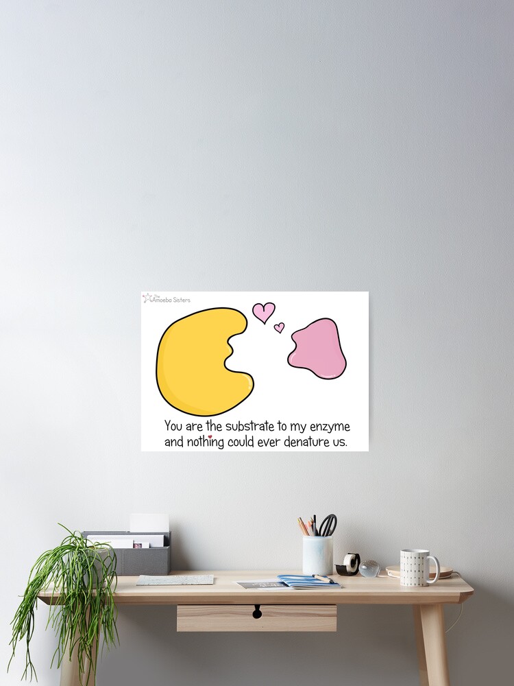 Thumbnail 1 of 3, Poster, Enzyme and Substrate Love Story designed and sold by amoebasisters.