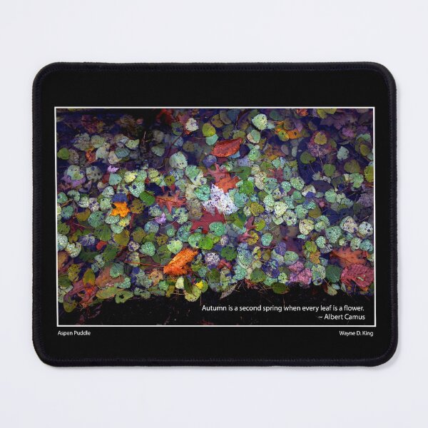 Item preview, Camus Aspen Puddle Autumn Poster designed and sold by Wayne King.