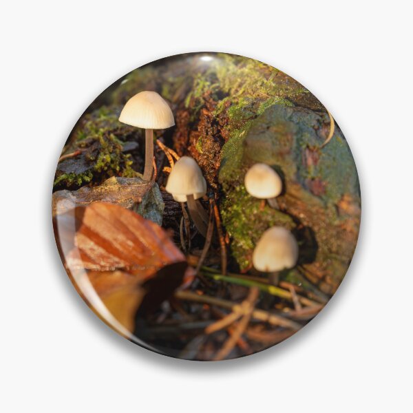 Item preview, Fungi on mossy log designed and sold by Stephen Jarman.