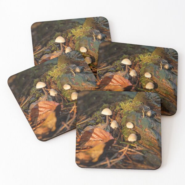 Item preview, Fungi on mossy log designed and sold by Stephen Jarman.