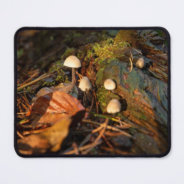 Item preview, Fungi on mossy log designed and sold by Stephen Jarman.