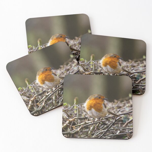 Item preview, Posando Robin designed and sold by heidipics.