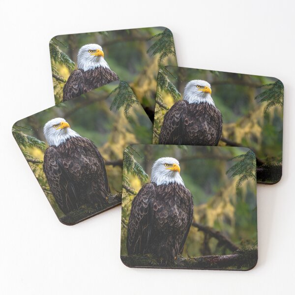 Item preview, Majestic Bald Eagle Perched Among the Evergreen Trees designed and sold by Artessie.