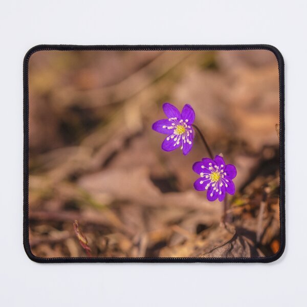Item preview, Purple Flowers Amidst Fallen Leaves designed and sold by Veikko Suikkanen.