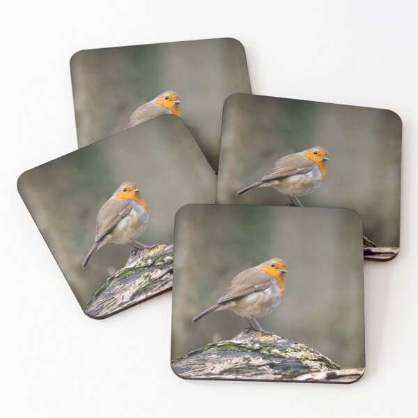 Item preview, Curious Robin  designed and sold by heidipics.