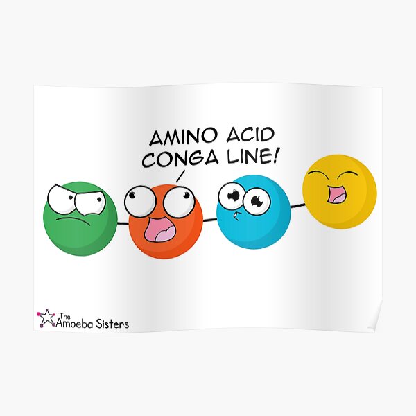 Amino Acid Conga Line Poster