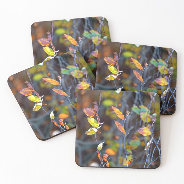 Artikelvorschau, Autumn Leaves Soft Bokeh Background Warm Nature Aesthetic Forest Wall Art entworfen und verkauft von onubi.