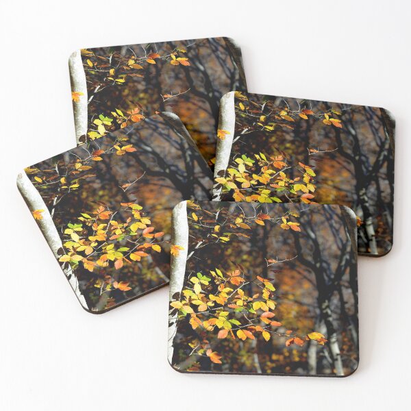Item preview, Autumn Forest Leaves Sunlight Nature Scene Warm Fall Colors Wall Art designed and sold by onubi.