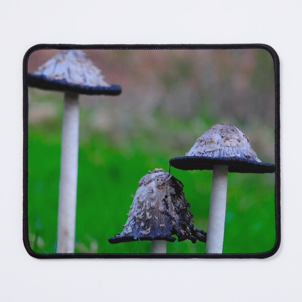 Artikelvorschau, Wild Mushrooms in Grass Macro Nature Photography Forest Aesthetic Wall Art entworfen und verkauft von onubi.