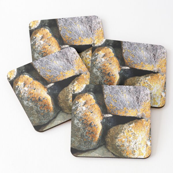 Item preview, Orange Lichen Rock Texture Abstract Nature Background Rustic Wall Art Design designed and sold by onubi.