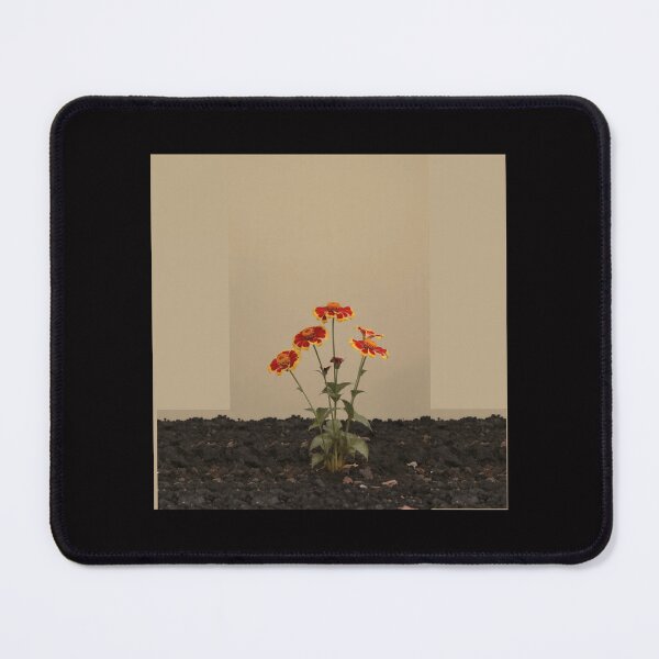 Item preview, Minimalist Fire in Bloom , Gaillardia Fanfare in Harmony designed and sold by Helios Be. Lavsh.