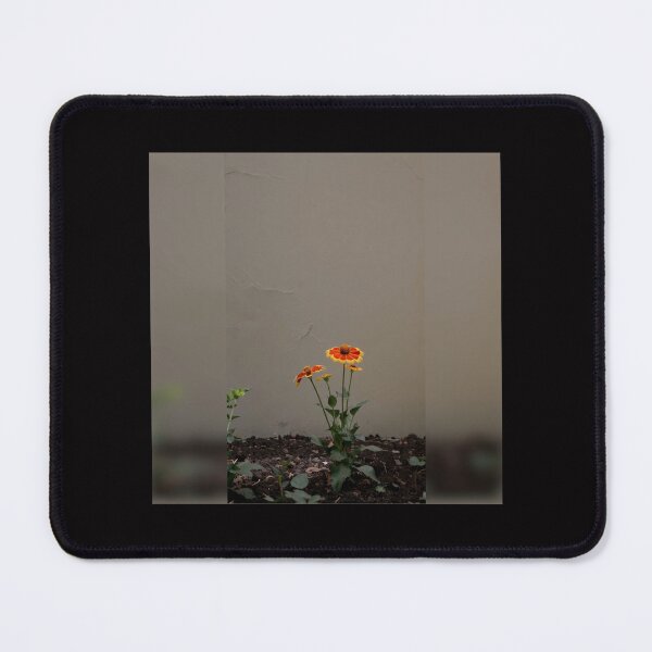 Item preview, Minimalist Fire in Bloom , Gaillardia Fanfare in Harmony #3 designed and sold by Helios Be. Lavsh.