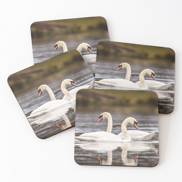 Item preview, Two Graceful Swans designed and sold by Martin Stokes Photography.