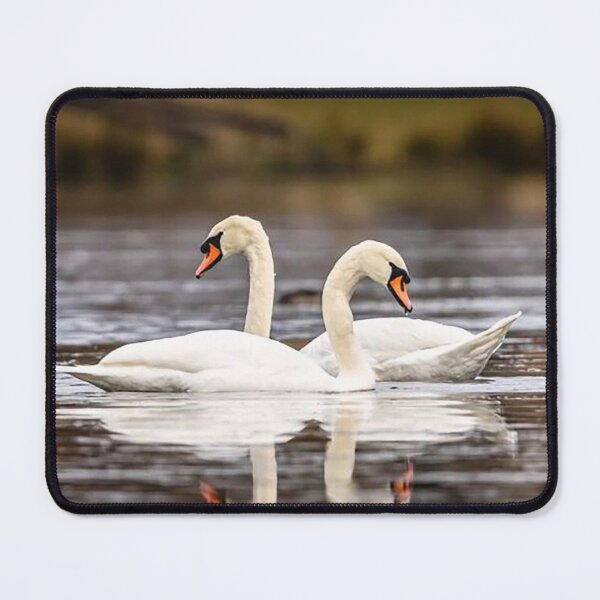Item preview, Two Graceful Swans designed and sold by Martin Stokes Photography.