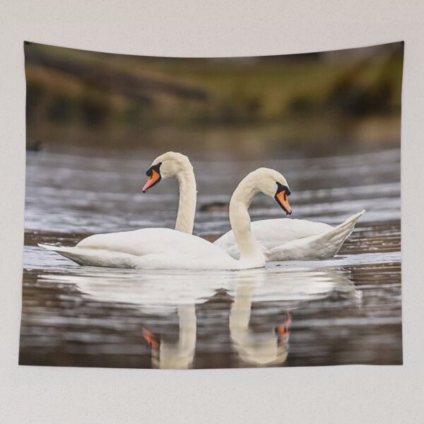 Item preview, Two Graceful Swans designed and sold by Martin Stokes Photography.