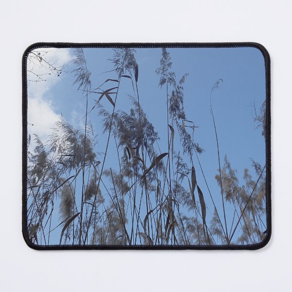 Artikelvorschau, Minimal Sky Grass Wall Art Print Calm Blue Nature Aesthetic Decor entworfen und verkauft von onubi.