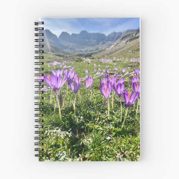 Item preview, Vibrant Blackberry Smoke Band aFlowers Mountain Field designed and sold by apiolands.