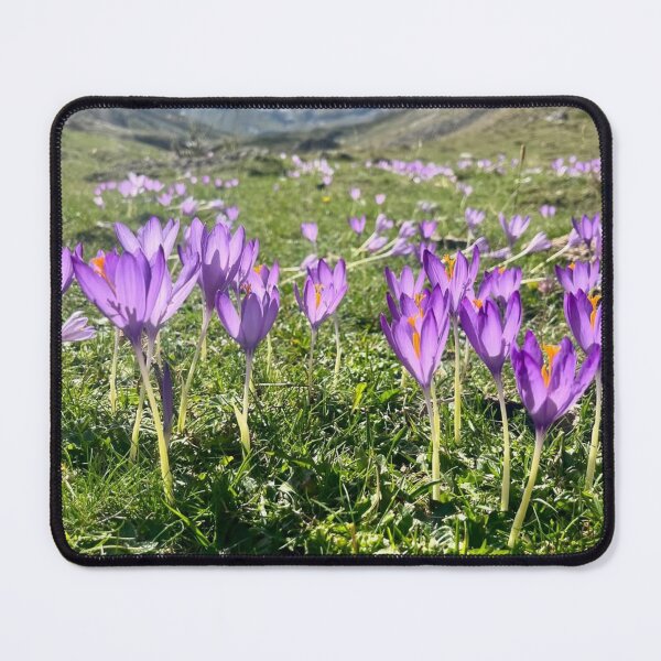 Item preview, Vibrant Blackberry Smoke Band aFlowers Mountain Field designed and sold by apiolands.