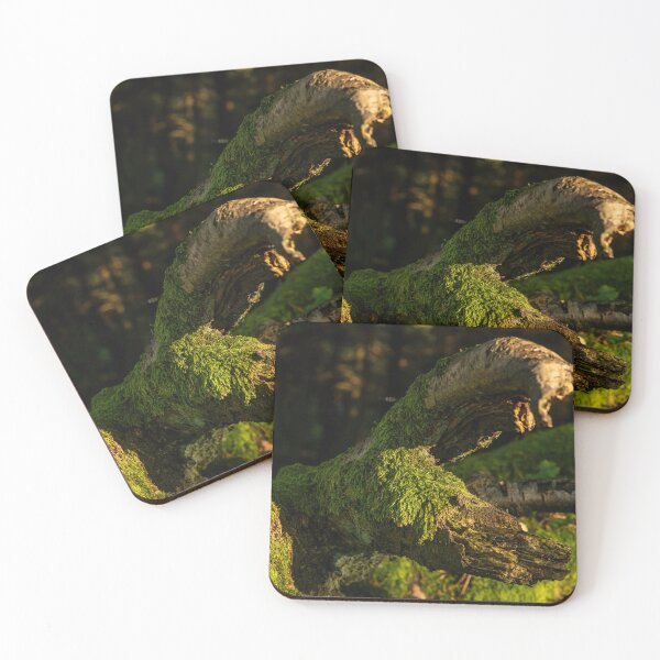 Item preview, Tree trunk covered in vibrant moss designed and sold by Stephen Jarman.
