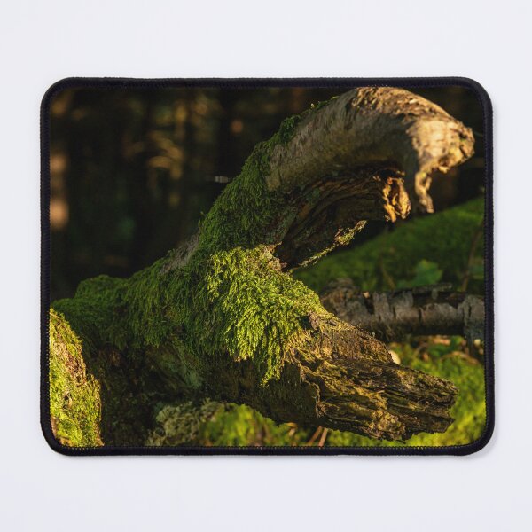Item preview, Tree trunk covered in vibrant moss designed and sold by Stephen Jarman.