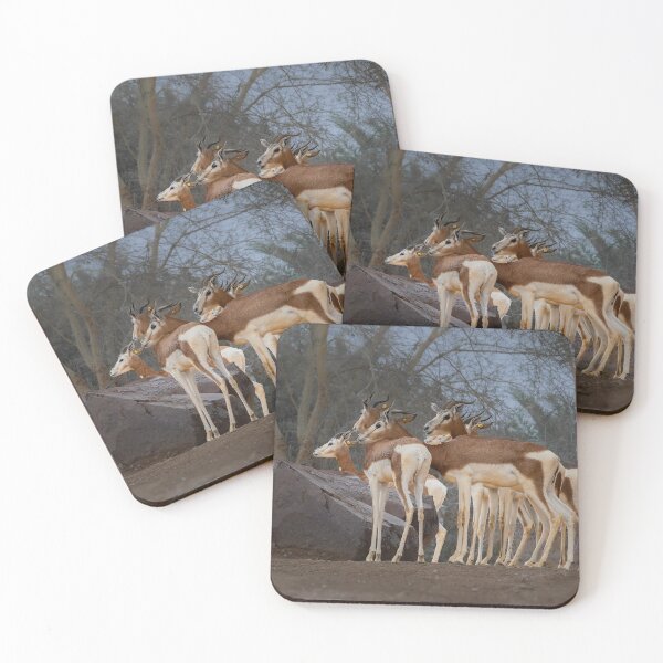 Item preview, Alert Gazelles - Wildlife Photography in the Wild designed and sold by AbulailArt.