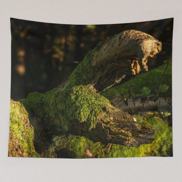 Item preview, Tree trunk covered in vibrant moss designed and sold by Stephen Jarman.