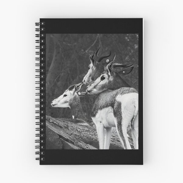 Item preview, Monochrome Gazelle Herd - High Detail Wildlife Art designed and sold by AbulailArt.