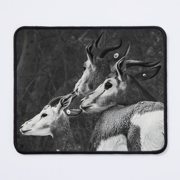 Item preview, Monochrome Gazelle Herd - High Detail Wildlife Art designed and sold by AbulailArt.