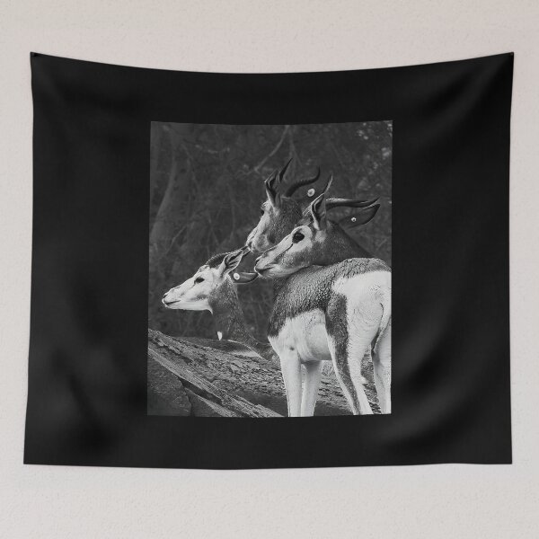 Item preview, Monochrome Gazelle Herd - High Detail Wildlife Art designed and sold by AbulailArt.