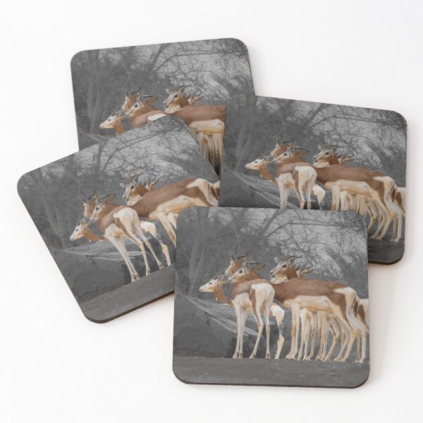 Item preview, Selective Color Gazelles - Moody Wildlife Photography designed and sold by AbulailArt.