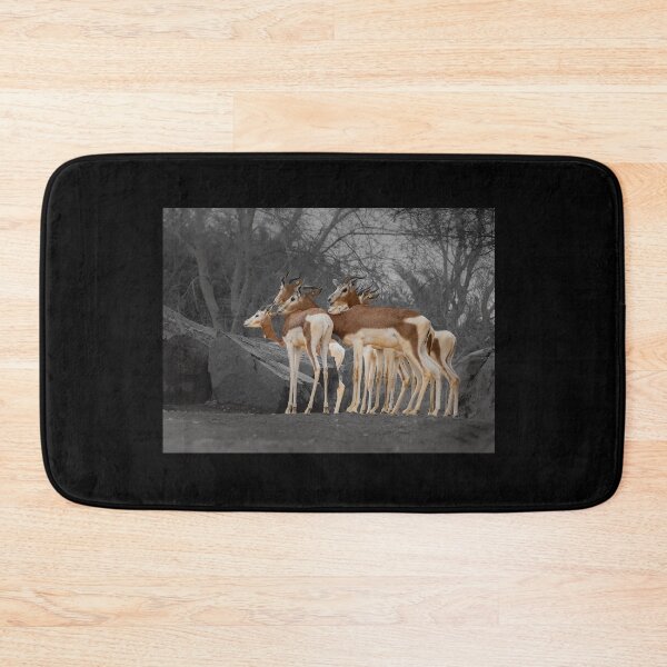 Item preview, Selective Color Gazelles - Moody Wildlife Photography designed and sold by AbulailArt.