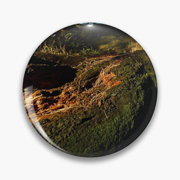 Item preview, Decaying tree trunk in woodland designed and sold by Stephen Jarman.