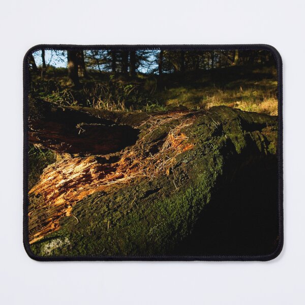 Item preview, Decaying tree trunk in woodland designed and sold by Stephen Jarman.